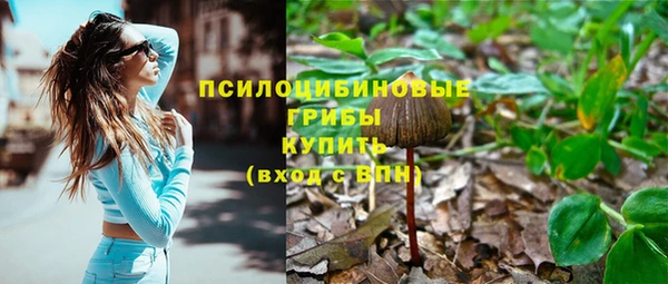 ешки Алзамай