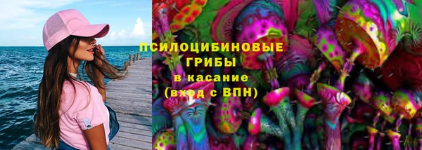 spice Алексин