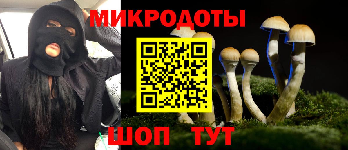 Псилоцибиновые грибы Cubensis Елизово
