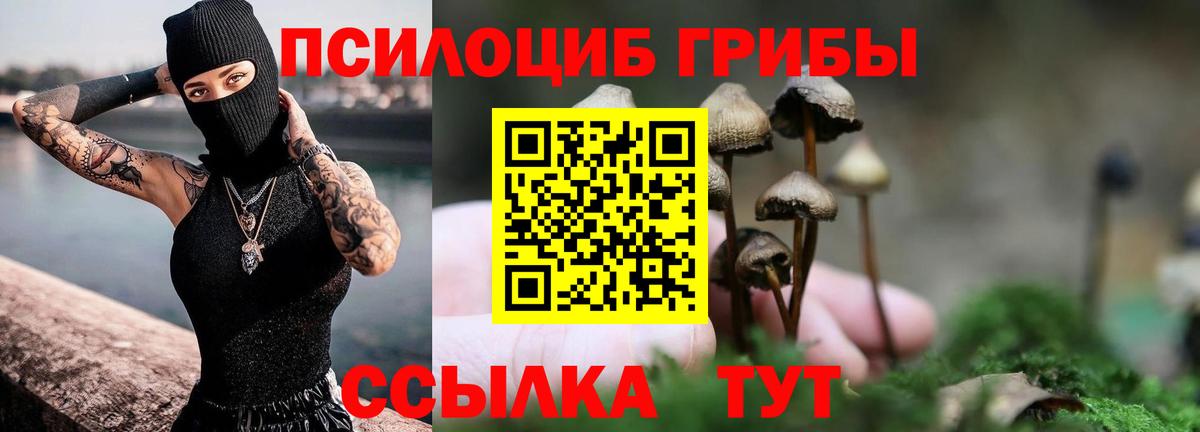 Елизово  Галлюциногенные грибы Psilocybe  Вход с VPN 