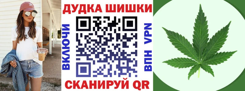 МЕГА сайт  Елизово  Шишки марихуана SATIVA & INDICA 